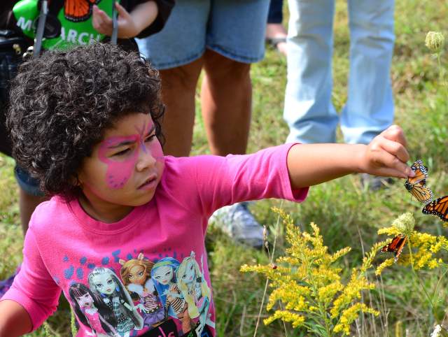Where to See Monarch Butterflies in Fort Wayne, Indiana