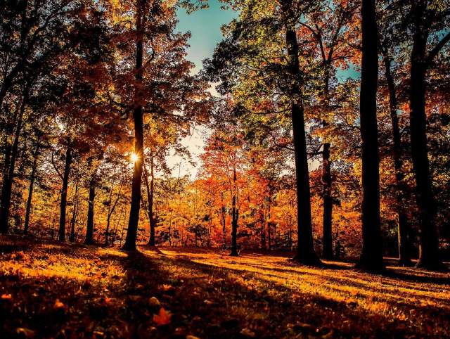 Autumn in Fort Wayne by Matt Hakey