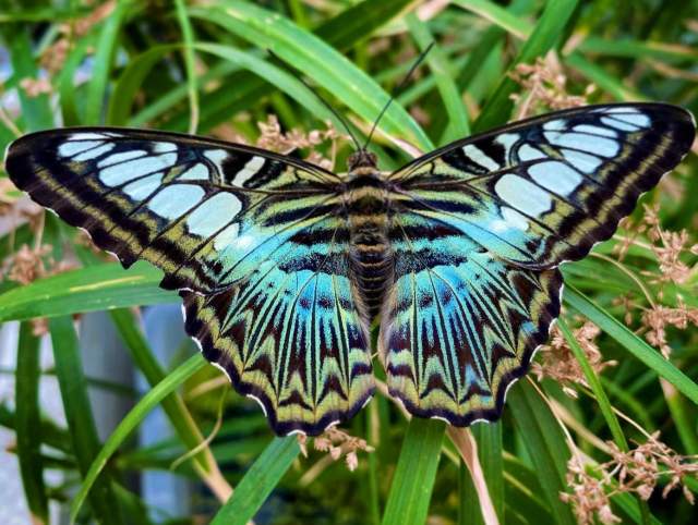 Best Events in Fort Wayne, Indiana this May