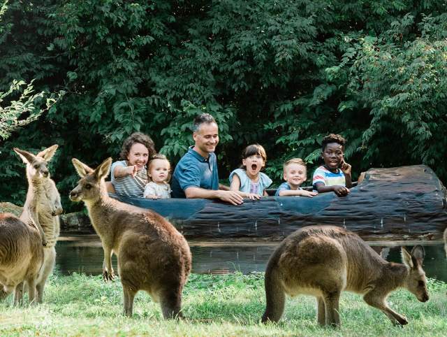 Fort Wayne Children's Zoo Kangaroo and Log Ride Jigsaw Puzzle Photo