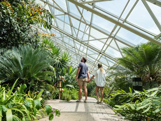 Foellinger-Freimann Botanical Conservatory