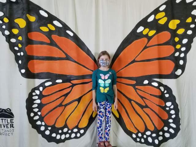 Monarch Festival