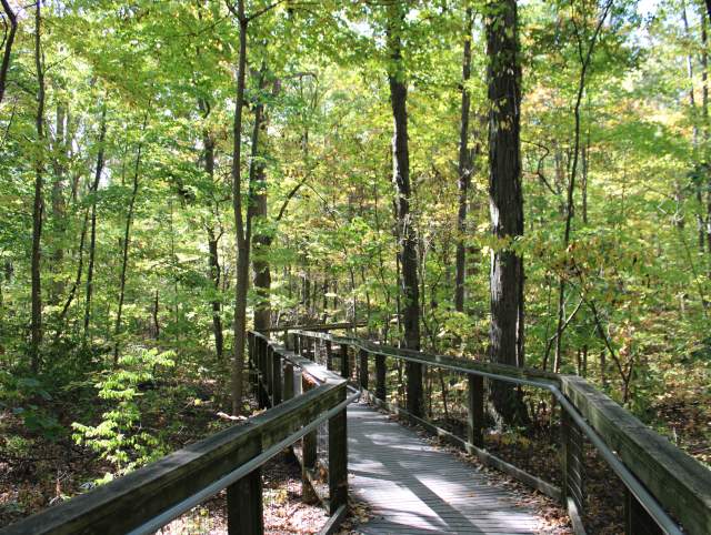 Hiking trail at Lindenwood Park & Preserve