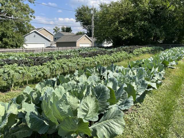 Local farmers and producers around northeast Indiana.