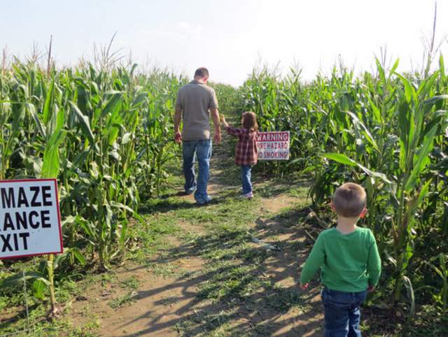 Kuehnert Dairy Fall Festival
