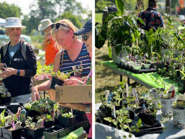 Allen County Master Gardeners Plant Sale with the Pros!