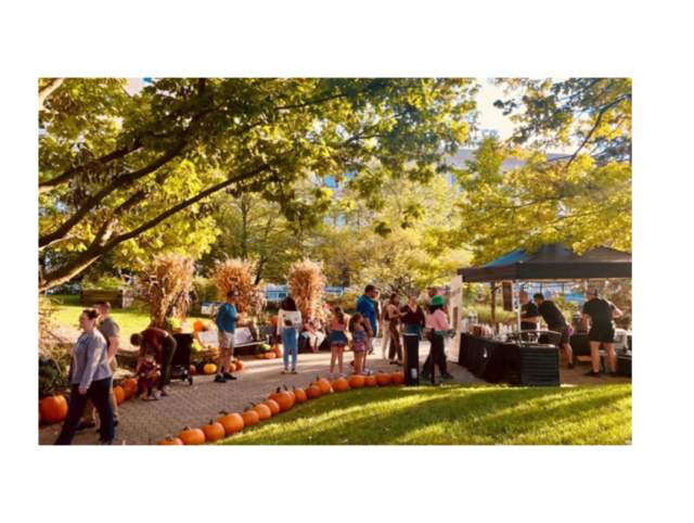 Festive Fun at Botanical Brew!