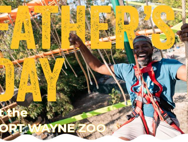 Father's Day at Fort Wayne Zoo