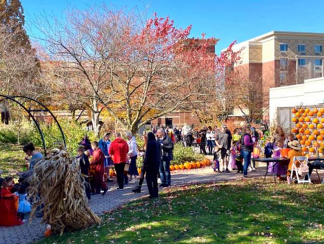 Garden Trick-or-Treat