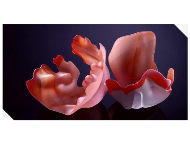 Image of pink flowers in promotion for Glass and Paper Works of Marvin Lipofsky.