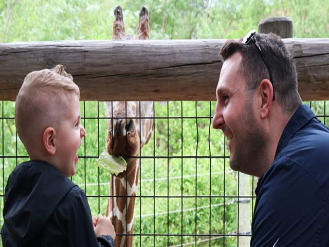 People looking at animals at the zoo