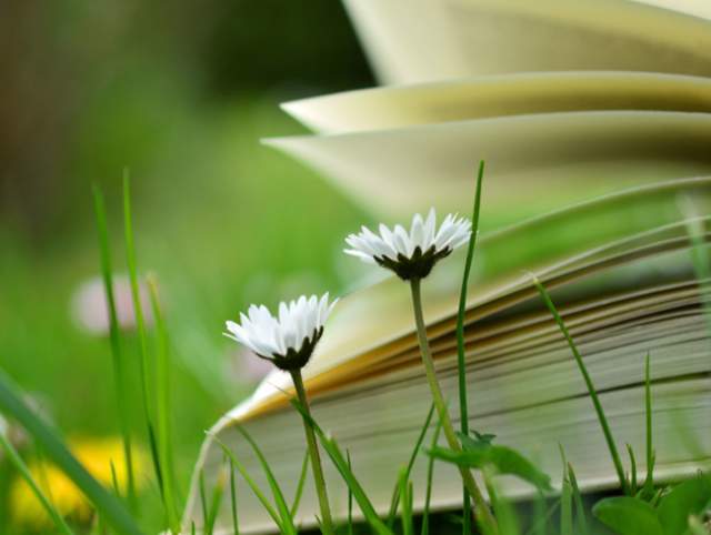 Storytime in the Park with Allen County Public Library