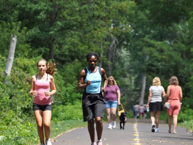 Picture of runners on a trail