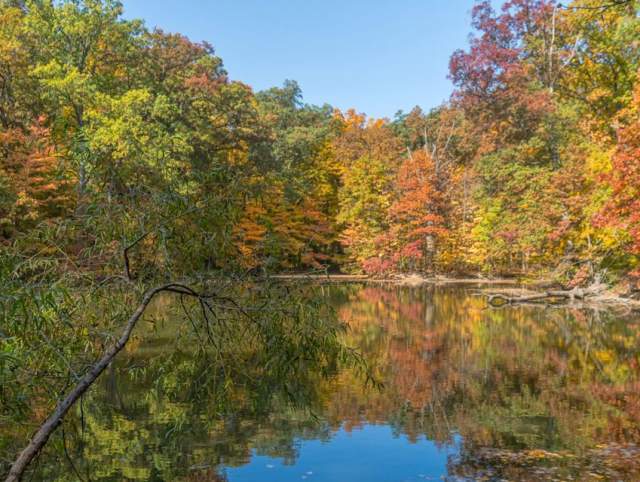 Fall Foliage Final Friday Fun Hike