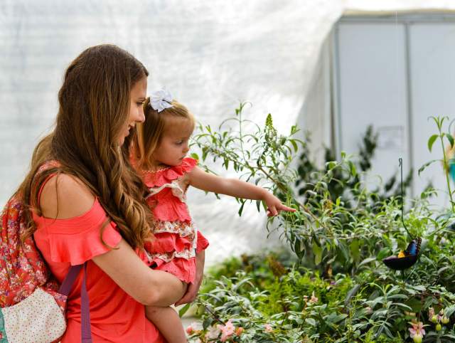 Treat mom to an unforgettable experience at the Botanical Conservatory. May 9-10, 2026.