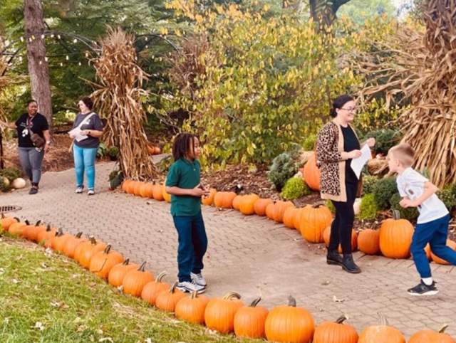 Pumpkin Path Display