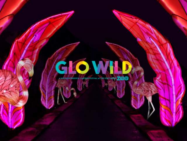 Glo Wild at the Fort Wayne Zoo
