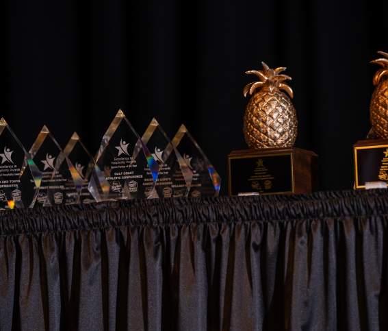 Excellence in Hospitality 2024 Awards & Golden Pineapples on Stage Table