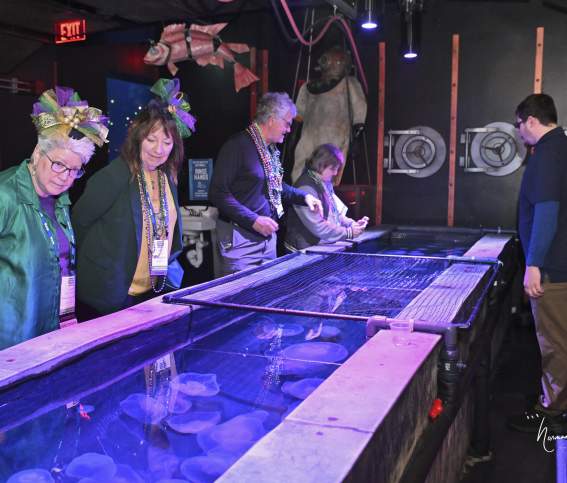 Photo of Group Tour at Shreveport Aquarium