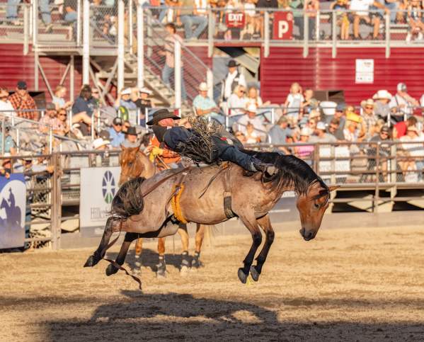 Rodeo