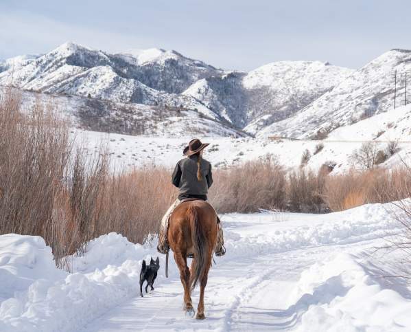 Winter Horseback Riding