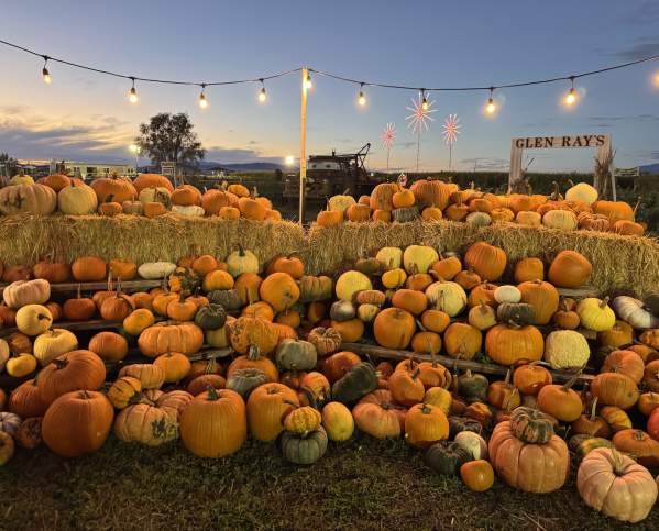 Fall Break Activities Natalie Ockey