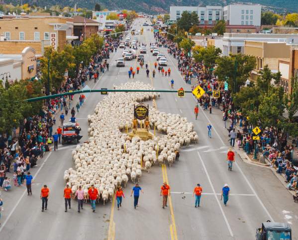 Cedar City Sheep Parade Downtown