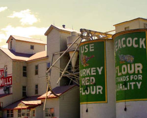 11 ACTIVITIES FOR THE BEST LABOR DAY WEEKEND IN UTAH VALLEY