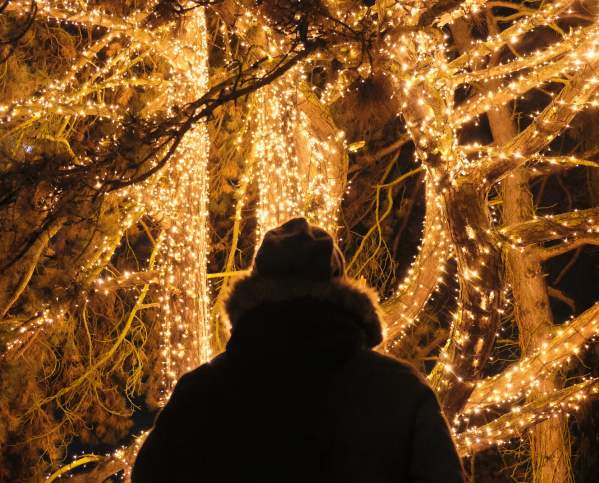 christmas lights