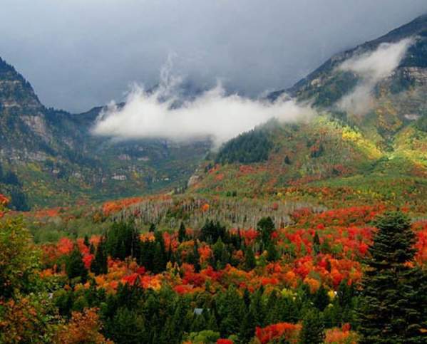 Scenic Drives to See Fall Colors in Utah Valley
