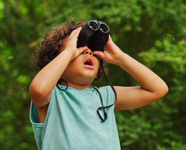 First Saturday Bird Walk at Dogwood Canyon