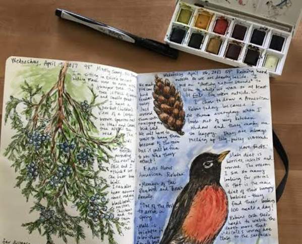 Nature Journal Making