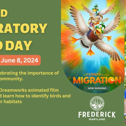 Frederick's First Annual World Migratory Bird Day