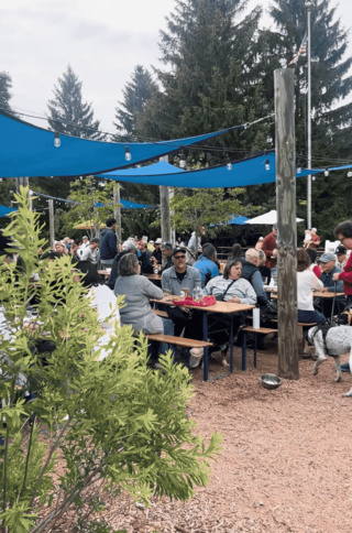 Guests gather at picnic tables beneath blue shade sails and string lights in an outdoor beer garden, surrounded by trees and landscaped greenery on a busy afternoon