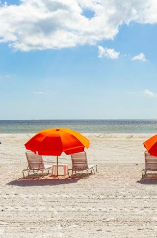 Fort Myers crop