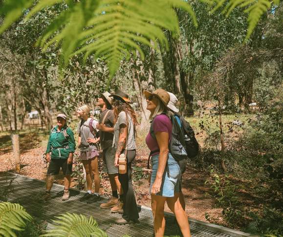 Dwellingup Adventures new Trilogy of Trails experience