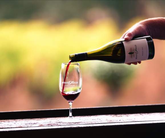 Bickley Harvest Festival