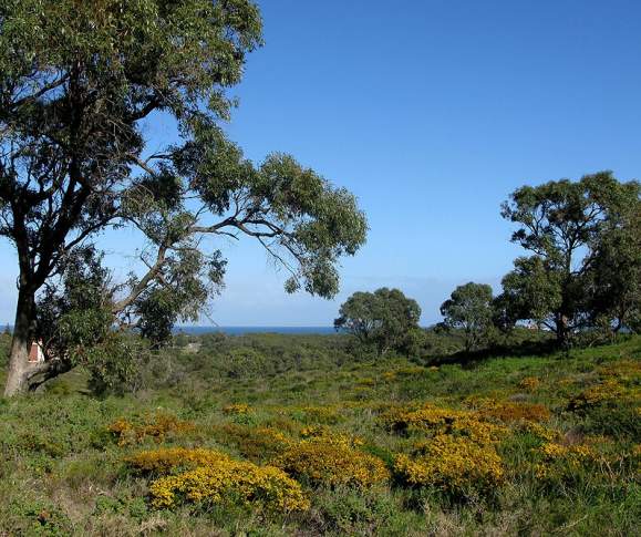 Trigg Bushland Reserve Guided Walk