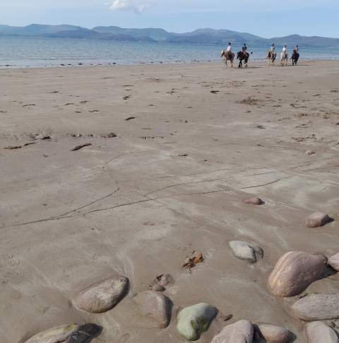 Kerry South Rossbeigh ReeksDistrict HorseridingonRossbeighbeach JoanneMcCarthy phone