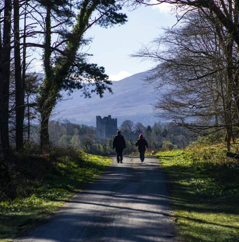 Walking_in_the_Killarney_Demesne_near_Ross_Castle_Killarney_Co_Kerry_master