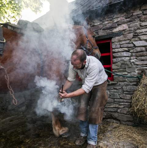 Muckross_Traditional_Farms_Killarney_National_Park_Co_Kerry_master_8_