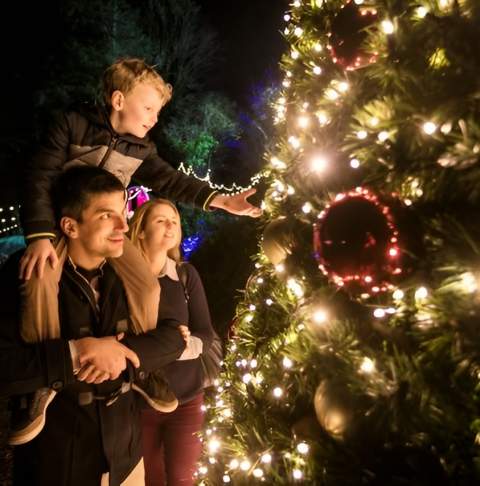 Family Festive Fun