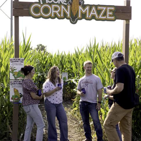 Sippin' In The Stalks