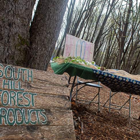 South Hill Forest Products Open House