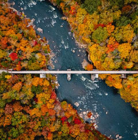 Fall Favs: 8 amazing foliage spots in the Laurel Highlands