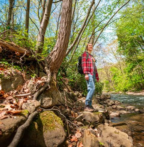 10 Reasons to Love Spring in the Laurel Highlands
