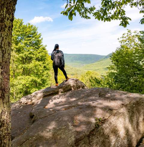 Baughman Rock at Ohiopyle