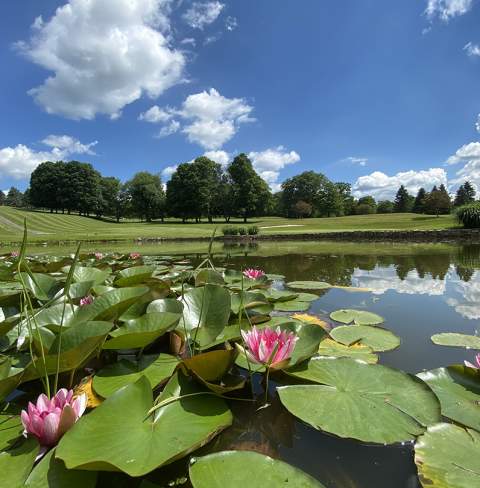 Golf course hole with lily pads