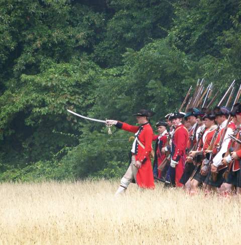 Bushy Run Battlefield