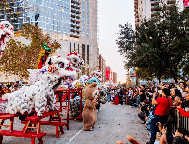 Lunar New Year Festival